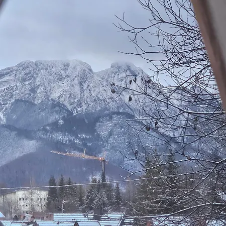 Domek Na Uboczu Zakopane Exterior photo